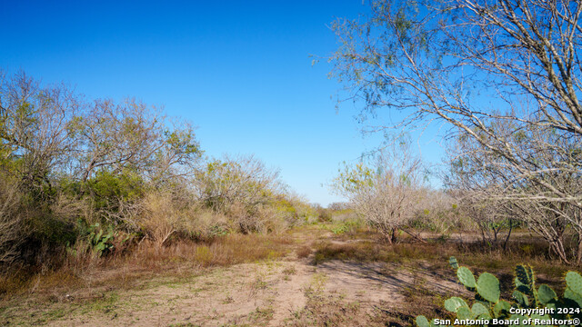 Listing photo id 43 for Tbd Highway 1604
