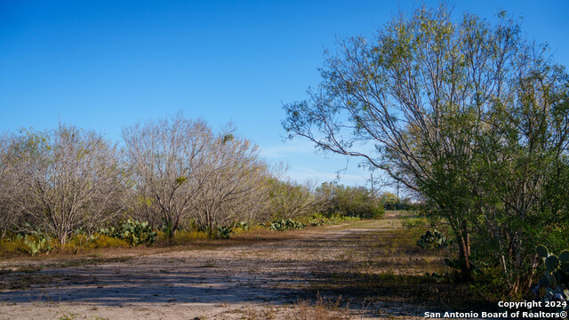 Listing photo id 44 for Tbd Highway 1604