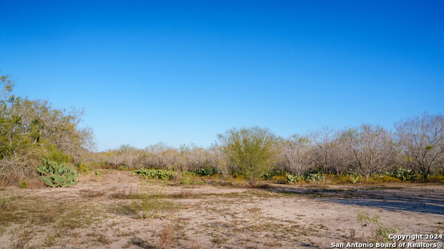 Listing photo id 45 for Tbd Highway 1604