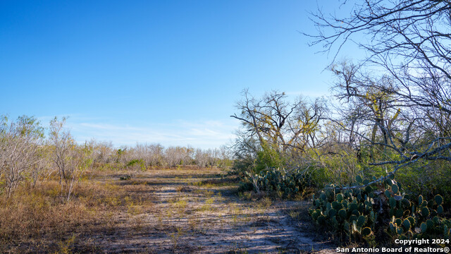 Listing photo id 46 for Tbd Highway 1604