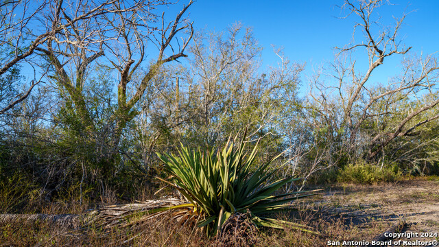 Listing photo id 47 for Tbd Highway 1604