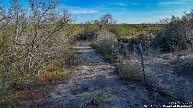 Listing photo id 22 for Tbd Highway 1604