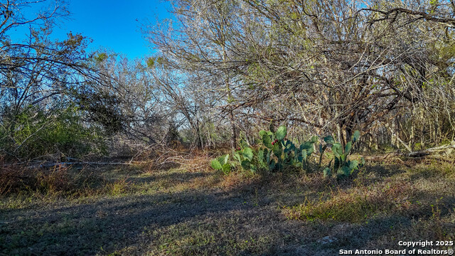 Listing photo id 25 for Tbd Highway 1604