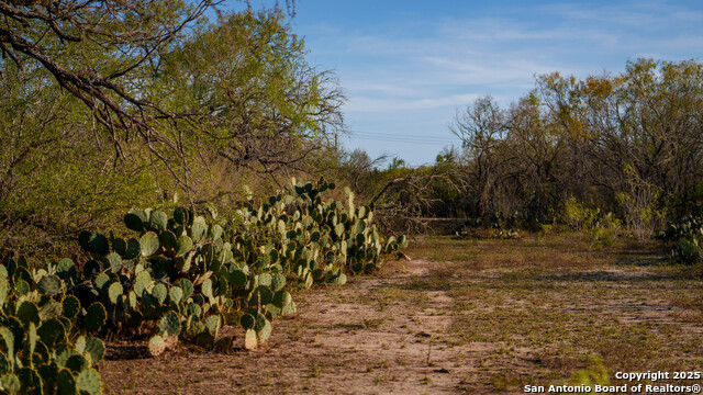 Listing photo id 48 for Tbd Highway 1604