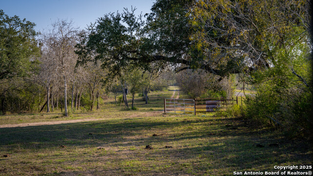 Image 41 of 43 For 4976 County Road 116