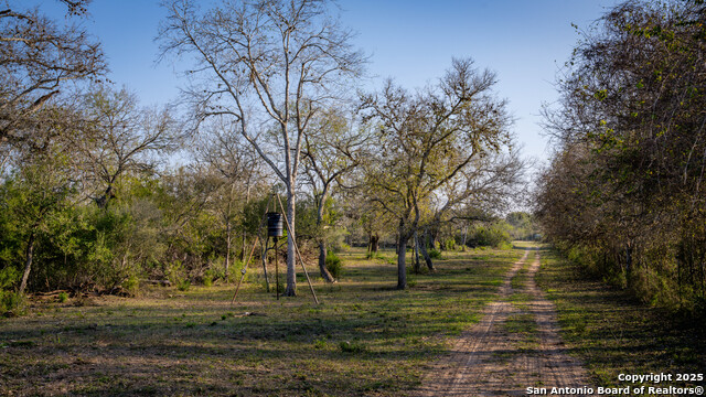 Image 5 of 43 For 4976 County Road 116