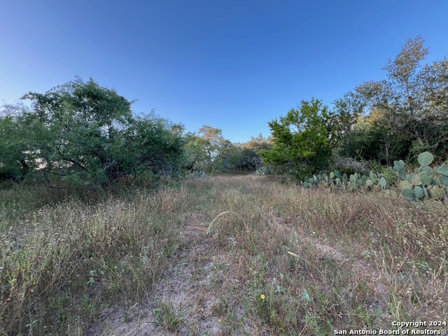 Listing photo id 8 for Tbd Bruce Rd.