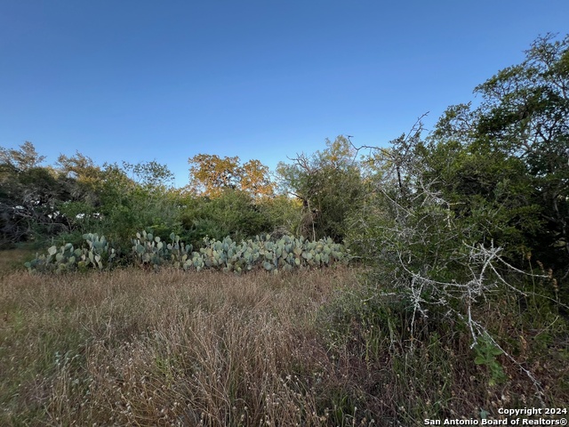 Listing photo id 9 for Tbd Bruce Rd.