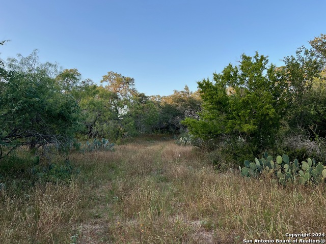 Listing photo id 10 for Tbd Bruce Rd.