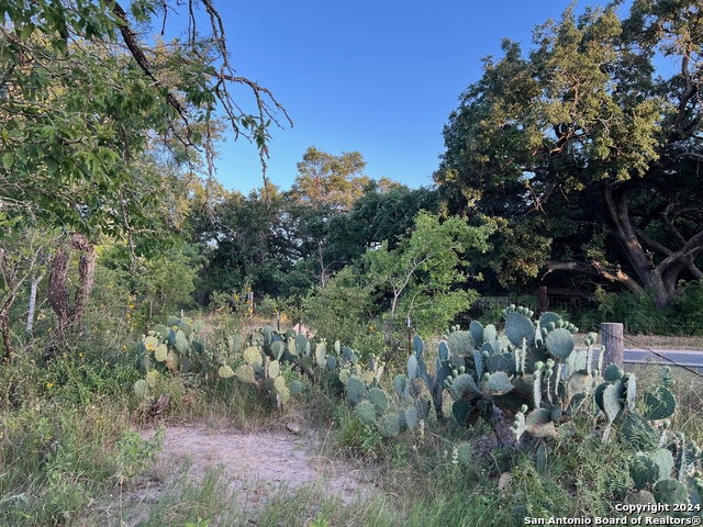 Listing photo id 12 for Tbd Bruce Rd.