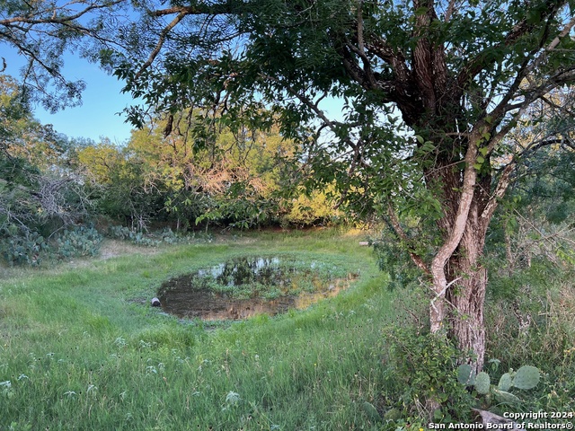 Listing photo id 1 for Tbd Bruce Rd.