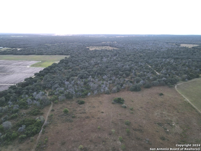 Listing photo id 2 for Tbd Bruce Rd.
