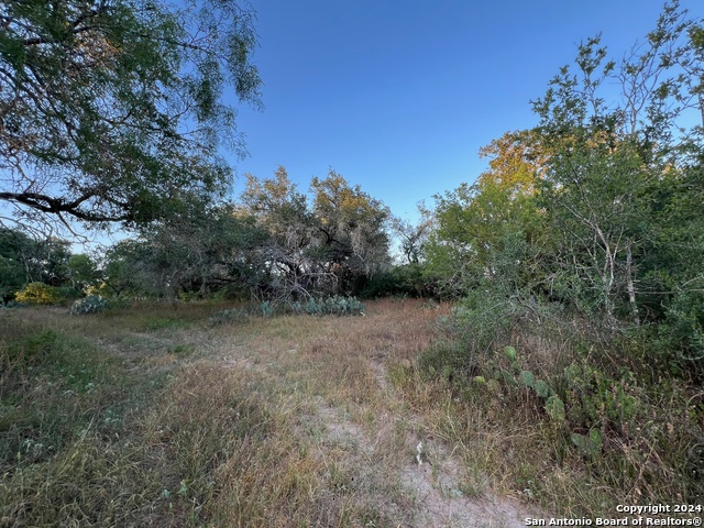 Listing photo id 3 for Tbd Bruce Rd.