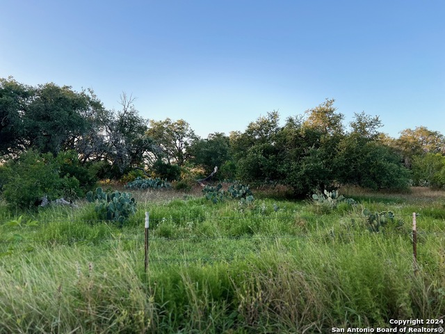 Listing photo id 5 for Tbd Bruce Rd.