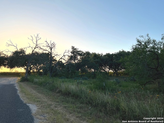 Listing photo id 6 for Tbd Bruce Rd.