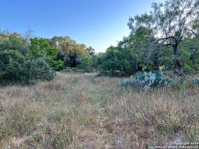 Listing photo id 7 for Tbd Bruce Rd.