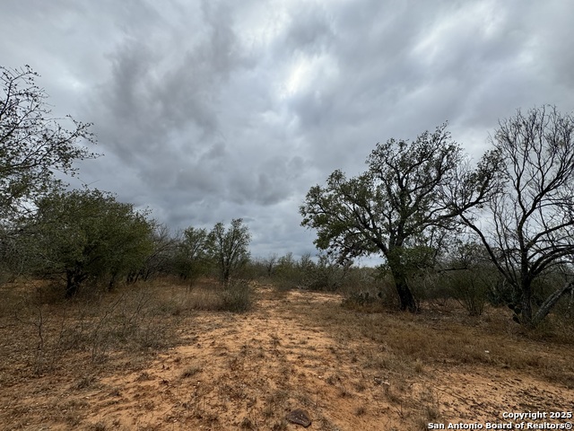 Details for Tbd Fm 462 E, Moore, TX 78057