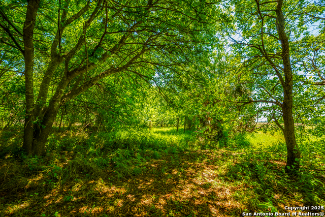 Listing photo id 11 for 8263 Huber Rd