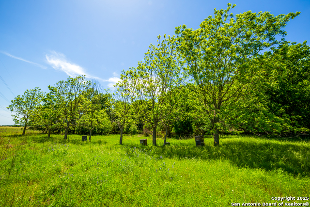 Listing photo id 0 for 8263 Huber Rd