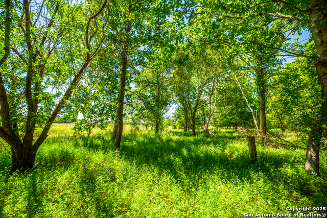Listing photo id 1 for 8263 Huber Rd