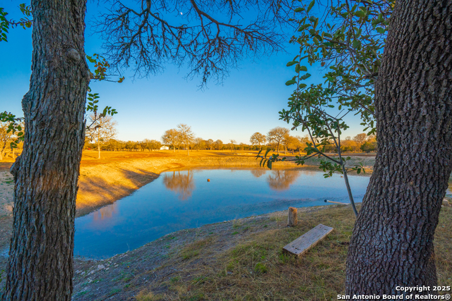 Listing photo id 28 for 431 Bluff Creek