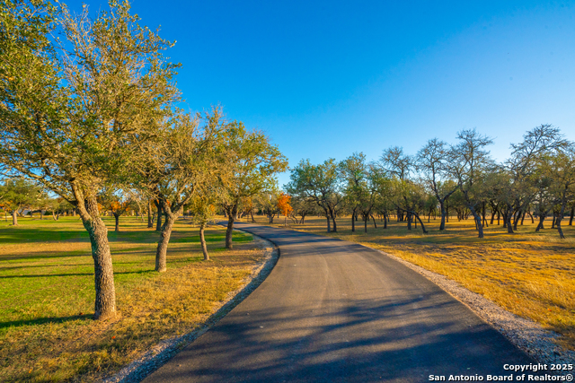 Listing photo id 5 for 431 Bluff Creek