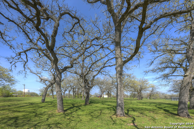 Listing photo id 34 for 3534 Us Highway 90a