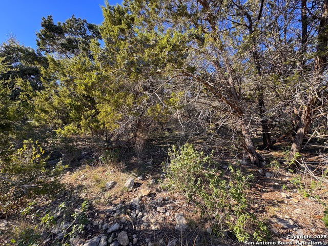 Listing photo id 9 for 629 Hillclimb