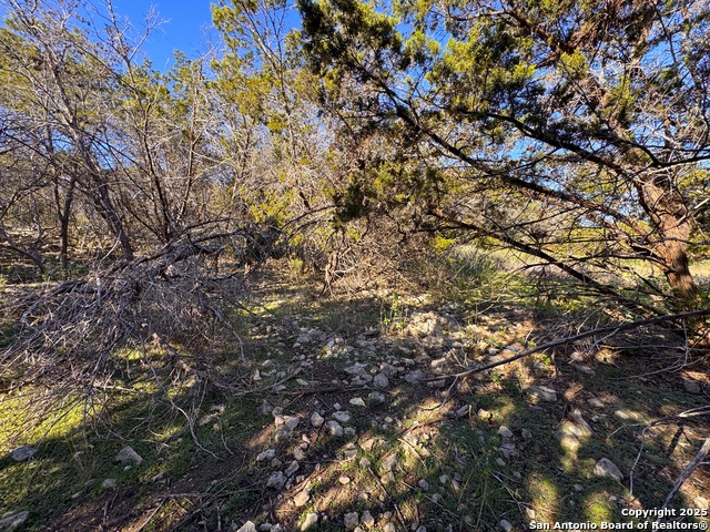 Listing photo id 10 for 629 Hillclimb