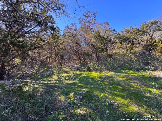 Listing photo id 11 for 629 Hillclimb