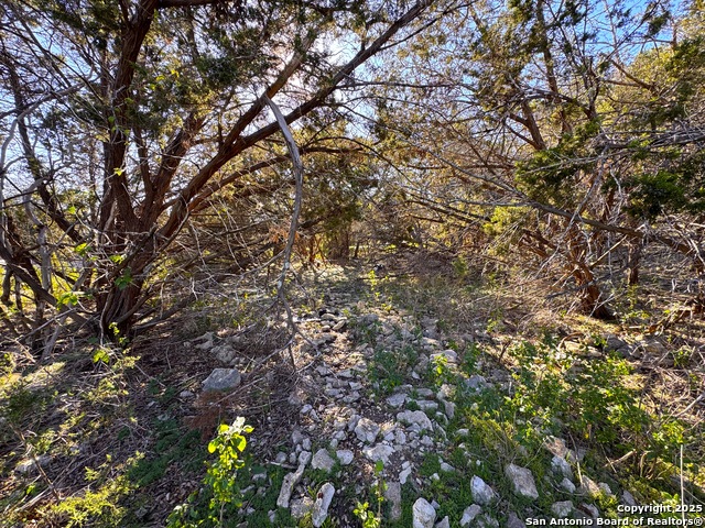 Listing photo id 12 for 629 Hillclimb