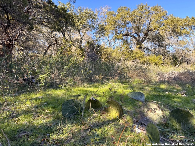 Listing photo id 14 for 629 Hillclimb