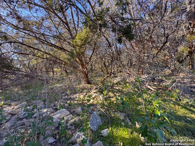 Listing photo id 15 for 629 Hillclimb