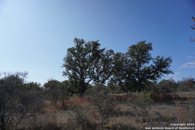 Image 33 of 50 For 137 Steel Creek Crest N