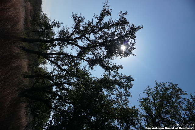 Image 34 of 50 For 137 Steel Creek Crest N