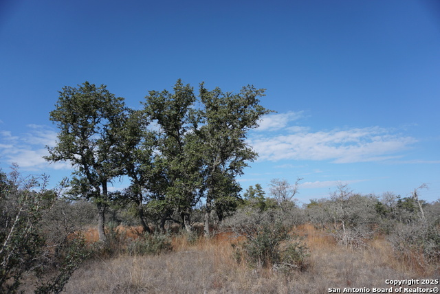 Image 36 of 50 For 137 Steel Creek Crest N