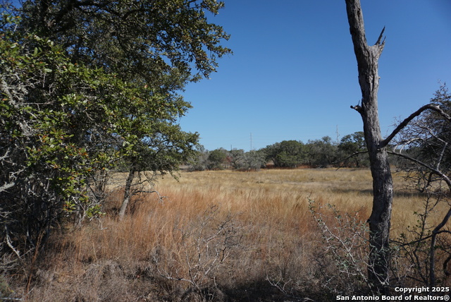 Image 37 of 50 For 137 Steel Creek Crest N