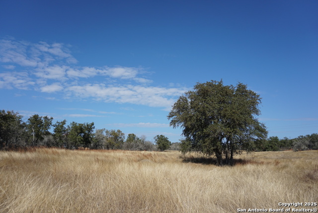 Image 38 of 50 For 137 Steel Creek Crest N
