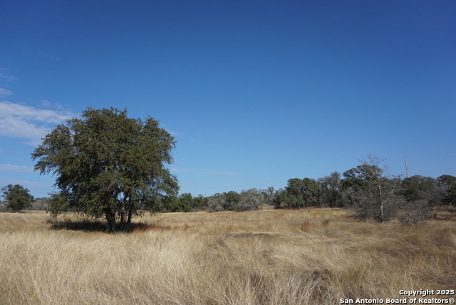 Image 39 of 50 For 137 Steel Creek Crest N