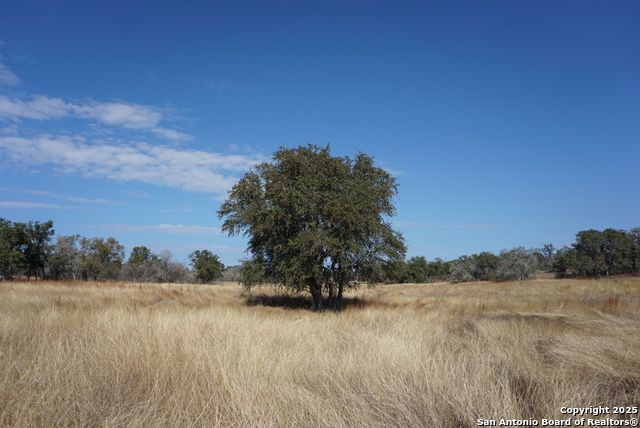 Image 40 of 50 For 137 Steel Creek Crest N