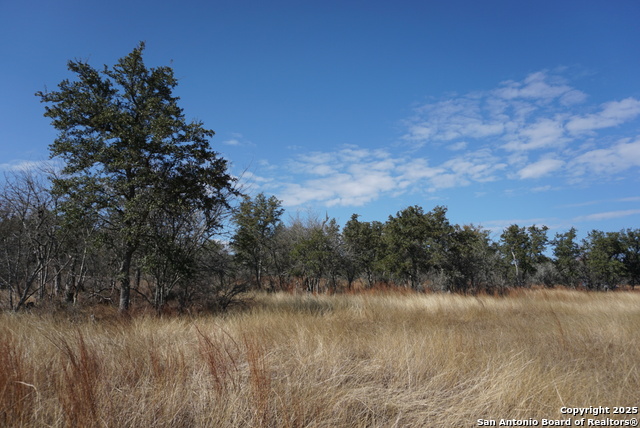 Image 42 of 50 For 137 Steel Creek Crest N