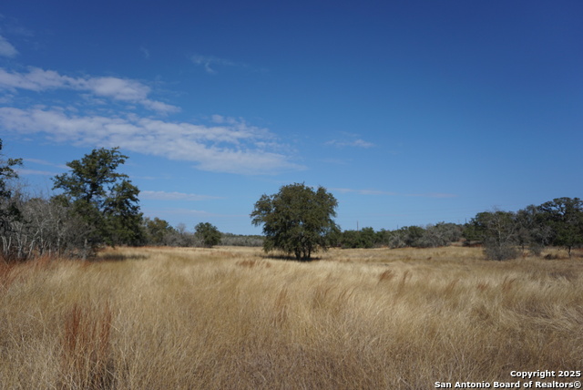 Image 44 of 50 For 137 Steel Creek Crest N