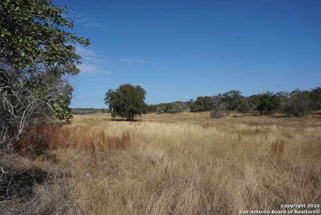 Image 48 of 50 For 137 Steel Creek Crest N