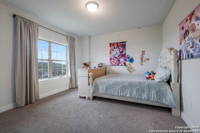 Listing photo id 24 for 1123 Midnight Dr