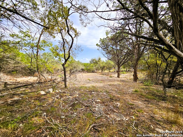 Image 8 of 20 For 30806 Bulverde Hills Dr