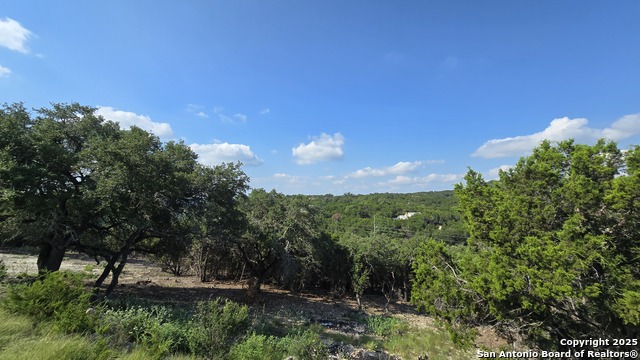 Details for 458 Herauf Dr, Canyon Lake, TX 78133