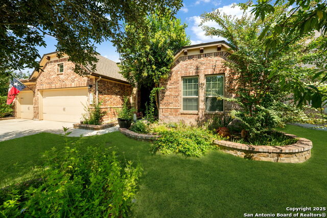 Image 3 of 34 For 29010 Bettina