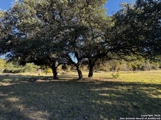 Image 45 of 45 For 3111 Kc 270