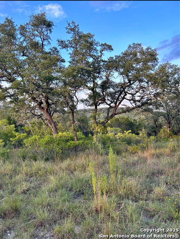 Image 2 of 6 For Lot 6 Canyon Creek Preserve Phase #6