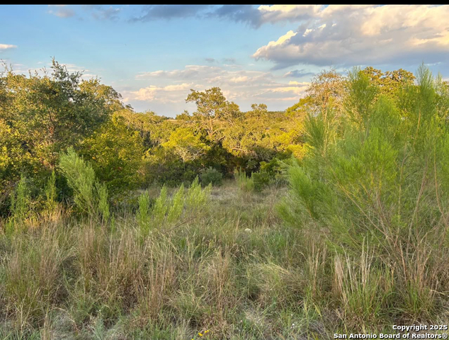 Image 6 of 6 For Lot 6 Canyon Creek Preserve Phase #6